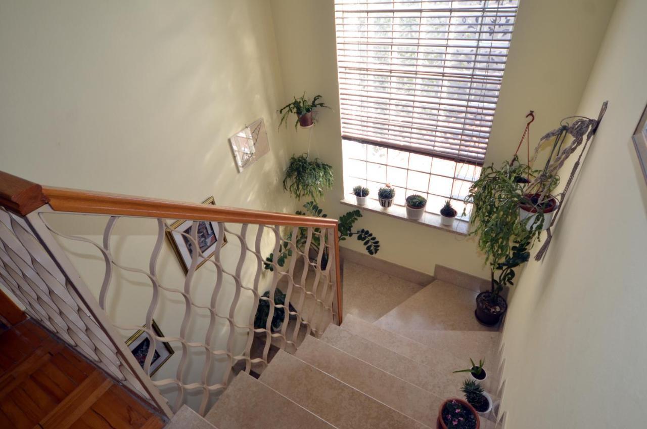 Aneli Rooms & Apartament Rovinj Eksteriør billede